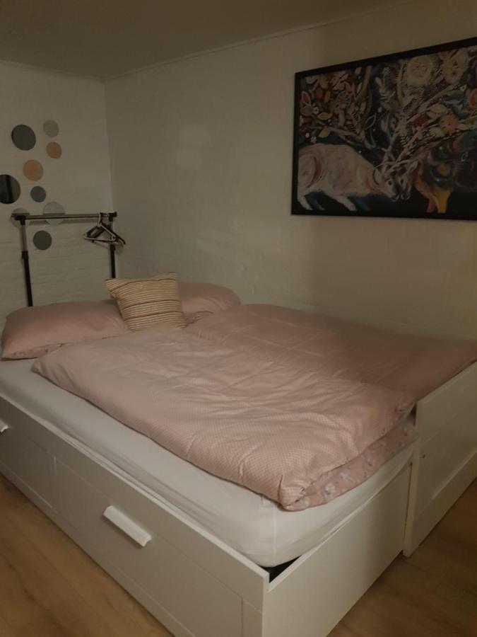 Trandafir Guesthouse Egtved Exteriér fotografie