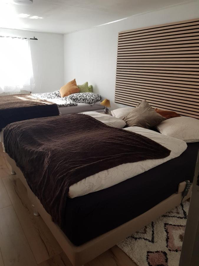 Trandafir Guesthouse Egtved Exteriér fotografie